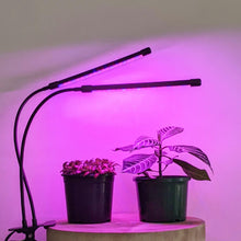 Load image into Gallery viewer, Two Headed Red/Blue Grow Lights
