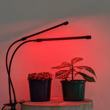 Load image into Gallery viewer, Two Headed Red/Blue Grow Lights
