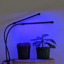 Load image into Gallery viewer, Two Headed Red/Blue Grow Lights
