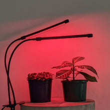 Load image into Gallery viewer, Two Headed Red/Blue Grow Lights
