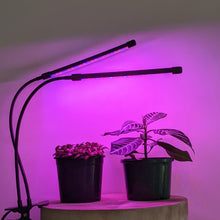 Load image into Gallery viewer, Two Headed Red/Blue Grow Lights

