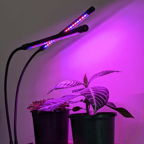 Two Headed Red/Blue Grow Lights