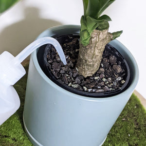 Watering Bottle - 500mL