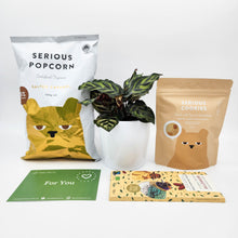 Load image into Gallery viewer, Pet Friendly Plant Gift Hamper - Sydney Only
