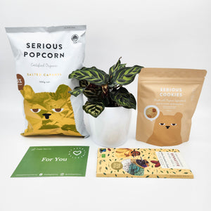 Pet Friendly Plant Gift Hamper - Sydney Only