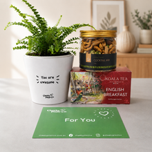 Load image into Gallery viewer, Positive Vibes - Plant Gift Box
