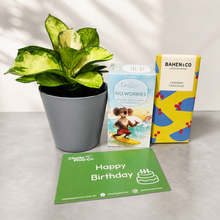 Load image into Gallery viewer, Birthday Plant Gift Box
