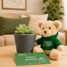 Load image into Gallery viewer, Teddy Bear &amp; Succulent Gift Box
