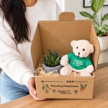 Load image into Gallery viewer, Teddy Bear &amp; Succulent Gift Box
