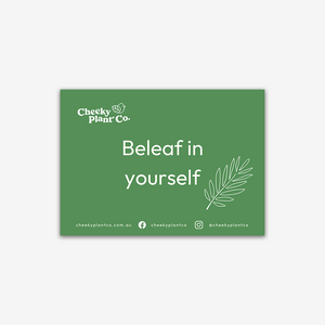Cheeky Greeting Cards - Green