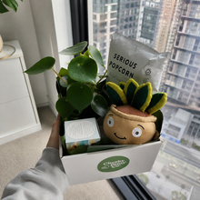 Load image into Gallery viewer, Best Birthday - Assorted Plant Gift Hamper - Sydney Only
