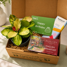 Load image into Gallery viewer, Birthday Plant Gift Box
