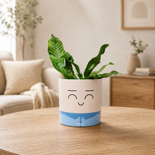 Load image into Gallery viewer, Assorted Potted Plant - CHOOSE YOUR CHEEKY POT - Sydney Only
