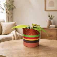 Load image into Gallery viewer, Assorted Potted Plant - CHOOSE YOUR CHEEKY POT - Sydney Only
