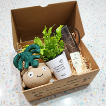 Load image into Gallery viewer, My First Plant Gift Box
