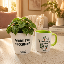 Load image into Gallery viewer, Cheeky Motivation - Plant Gift Box
