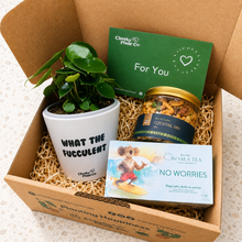 Load image into Gallery viewer, Cheeky Vibes - Plant Gift Box
