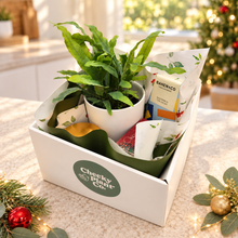 Load image into Gallery viewer, Christmas Plant Gift Hamper - Sydney Only

