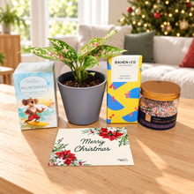 Load image into Gallery viewer, Christmas Plant Gift Box
