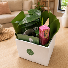 Load image into Gallery viewer, Comforting Condolence - Plant Gift Hamper - Sydney Only
