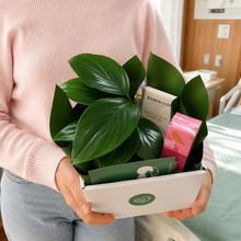Load image into Gallery viewer, Comforting Condolence - Plant Gift Hamper - Sydney Only
