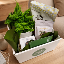 Load image into Gallery viewer, Loving You - Plant Gift Hamper - Sydney Only
