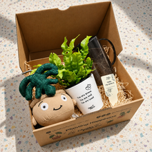 Load image into Gallery viewer, My First Plant Gift Box
