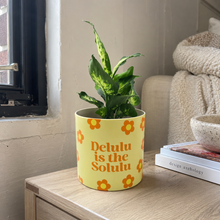 Load image into Gallery viewer, Delulu Is the Solulu - Cheeky Plant Co. Pot - 12.5cmD x 12cmH
