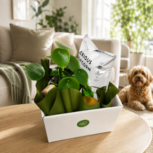 Load image into Gallery viewer, Dog Lovers - Pet Friendly Plant Gift Hamper - Sydney Only

