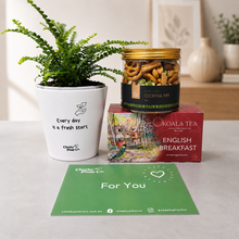 Load image into Gallery viewer, Positive Vibes - Plant Gift Box
