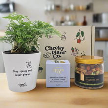 Load image into Gallery viewer, Positive Vibes - Plant Gift Box
