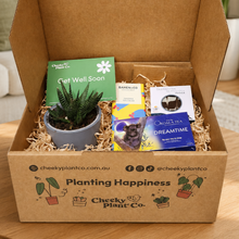 Load image into Gallery viewer, Get Well Soon Succulent Gift Box
