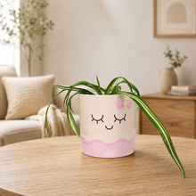 Load image into Gallery viewer, Assorted Potted Plant - CHOOSE YOUR CHEEKY POT - Sydney Only
