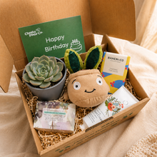 Load image into Gallery viewer, Happy Birthday - Succulent Hamper / Succulent Gift Box
