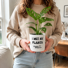 Load image into Gallery viewer, Assorted Indoor Plant in 'I Wet My Plants' Pot (12.5cmDx12cmH) - Sydney Only
