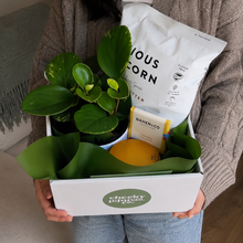 Load image into Gallery viewer, I Wet My Plants - Treat Yourself Plant Gift Hamper - Sydney Only
