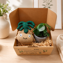 Load image into Gallery viewer, Plushie &amp; Plant Gift Box
