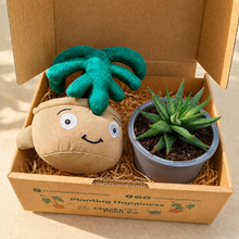 Load image into Gallery viewer, Monstera Plant Plushie &amp; Succulent Gift Box
