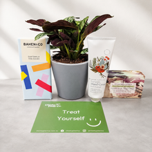 Load image into Gallery viewer, Pamper Plant Gift Box
