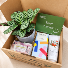 Load image into Gallery viewer, Pamper Plant Gift Box
