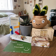 Load image into Gallery viewer, Pamper - Succulent Hamper / Succulent Gift Box - Sydney Only
