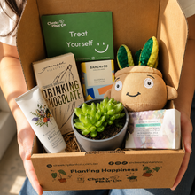 Load image into Gallery viewer, Pamper - Succulent Hamper / Succulent Gift Box
