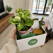 Load image into Gallery viewer, Pawesome Dog Friendly Plant Gift Hamper - Sydney Only
