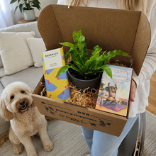Load image into Gallery viewer, Pet Friendly Houseplant Gift Box

