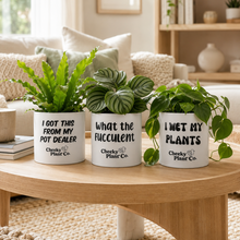 Load image into Gallery viewer, Trio Assorted Indoor Plants in Funny Pots (12.5cmD x 12cmH) - Sydney Only
