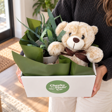 Load image into Gallery viewer, Potted Plant and Bear Gift - 120mm - Sydney Only
