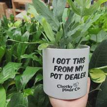 Load and play video in Gallery viewer, I Got This From My Pot Dealer - Cheeky Plant Co. Pot - 12.5cmD x 12cmH
