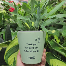 Load and play video in Gallery viewer, Thank You For All You Do - Cheeky Plant Co. Positive Pot - 11cmD x 11cmH
