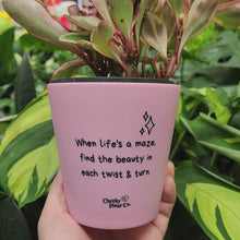 Load and play video in Gallery viewer, When Life&#39;s a Maze - Cheeky Plant Co. Positive Pot - 11cmD x 11cmH
