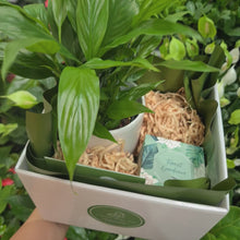 Load and play video in Gallery viewer, Heartfelt Condolences Gift - Peace Lily &amp; Candle - Sydney Only
